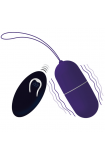 Flippy I Vibrating Egg With Remote Control Purple - Intense  D-212766