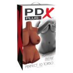PDX PLUS - PERFECT 10 TORSO BROWN - imagine 5