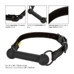 CALEXOTICS - BOUNDLESS BAR GAG - imagine 5