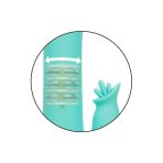 CALEXOTICS - BEL AIR BOMBSHELL LIGHT GREEN - imagine 3