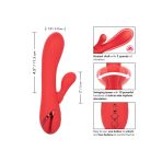 CALEXOTICS - PALISADES PASSION RED - imagine 5
