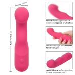 CALEXOTICS - PIXIES CURVY PINK - imagine 5