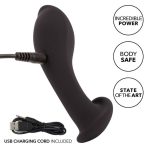 CALEXOTICS - LIQUID SILICONE FLEX PROBE - imagine 5