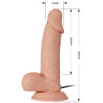 BAILE - BEAUTIFUL ENCOUNTER ZEBULON VIBRATION 19.4 CM NATURAL - imagine 5