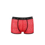 PASSION - 046 SHORT PARKER ROJO S/M - imagine 5