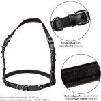 CALEXOTICS - EUPHORIA PLUS SIZE HALTER BUCKLE HARNESS BLACK - imagine 5