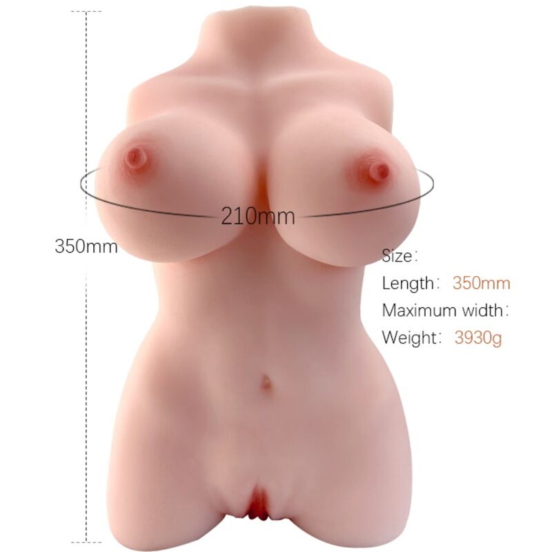 img_184404_b1b85a7045dee87f9cd2cea434f3207b_1.jpg ARMONY - REALISTIC FEMALE TORSO MODEL 3 - imagine 1