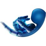 SATISFYER - PRO+ WAVE 4 G-SPOT  AIR PULSE STIMULATOR FREE APP DARK BLUE - imagine 5