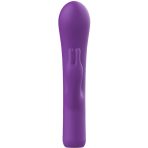 B SWISH - BWILD BUNNY INFINITE DELUXE VIBRATOR RABBIT 10 VIBRATIONS PURPLE - imagine 2