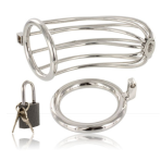 METAL HARD - BIRD CHASTITY RING CAGE - imagine 2