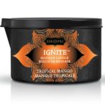 KAMASUTRA - MASSAGE CANDLE TROPICAL HANDLE 170 GR - imagine 2