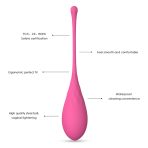 LESLIE - KEGEL FIT PELVIC MUSCLE TRAINING SET 6 WEIGHTS - imagine 4