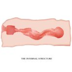 CRAZY BULL - JANE VAGINA MASTURBATOR 13.5 CM - imagine 5