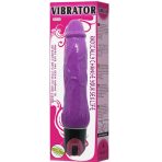BAILE - DAAPLY PLEASURE MULTISPEED VIBRATOR PURPLE - imagine 2