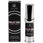 SECRETPLAY - RETARDING GEL FOR MEN ENDLESS PLEASURE 15 ML - imagine 2