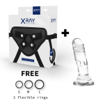 X RAY - HARNESS + CLEAR COCK 12 CM -O- 2.6 CM - imagine 2