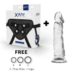 X RAY - HARNESS + CLEAR COCK 19 CM -O- 4 CM - imagine 2
